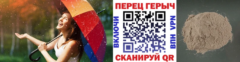 Купить закладки  Заводоуковск  ГЕРОИН VHQ 