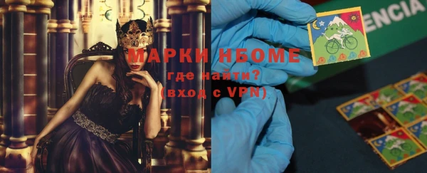 прущие грибы Касимов