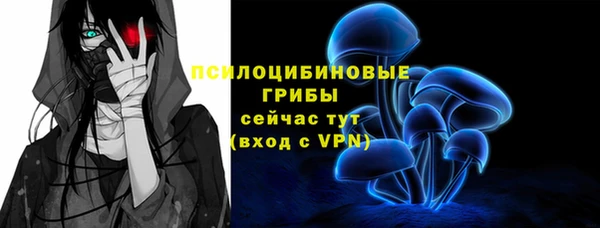 стафф Карталы