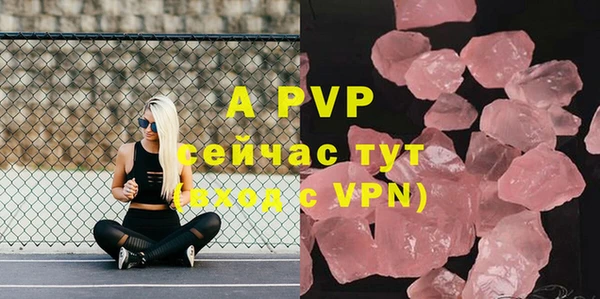 прущие грибы Касимов