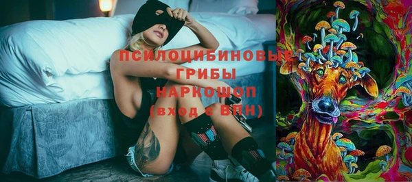 прущие грибы Касимов