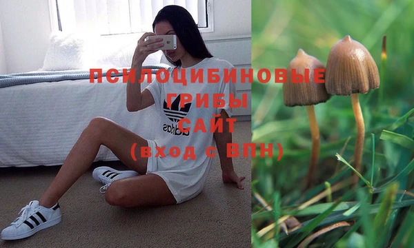 стафф Карталы