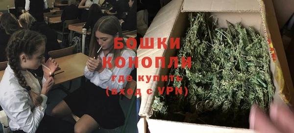 прущие грибы Касимов
