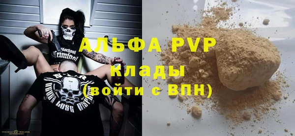 прущие грибы Касимов