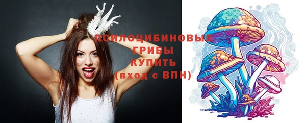 прущие грибы Касимов