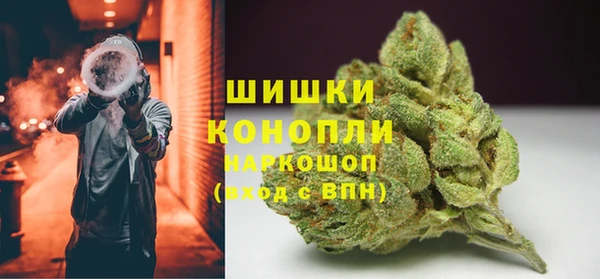 прущие грибы Касимов